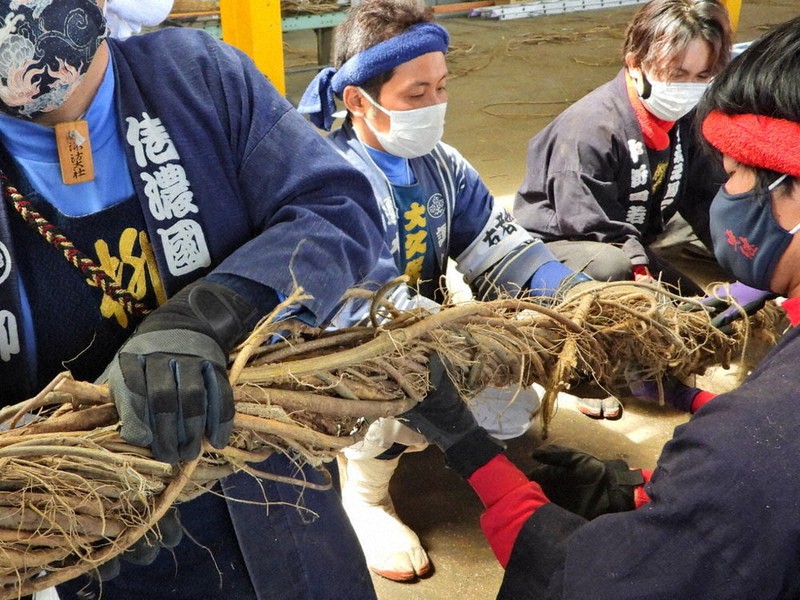 根藤でより上げる原地区の曳き綱=長野県原村払沢のJA信州諏訪原村野菜集荷所で2022年4月10日、宮坂一則撮影