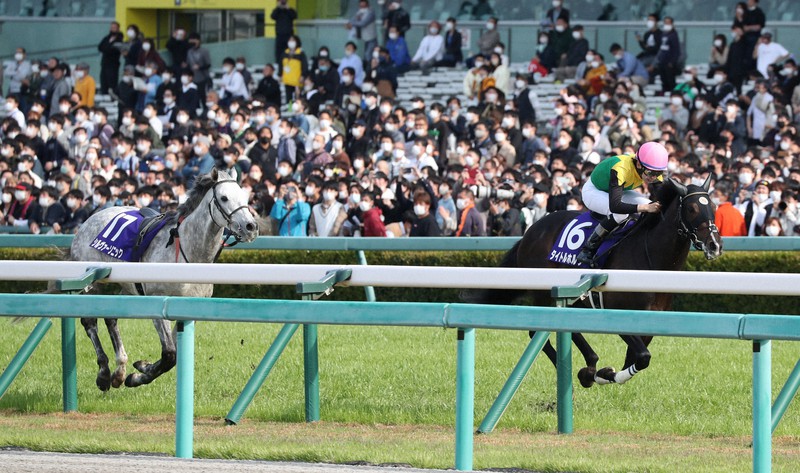 競馬2着馬物語 【公式通販】