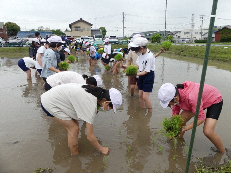 田植えを体験する児童たち=愛知県岡崎市で2022年4月28日、渡辺隆文撮影
