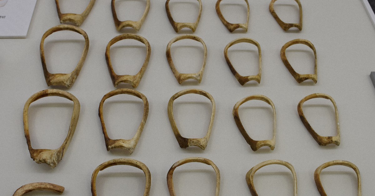 吉野ケ里遺跡で10年ぶり発掘調査 未発掘の神社跡「謎のエリア」 [写真