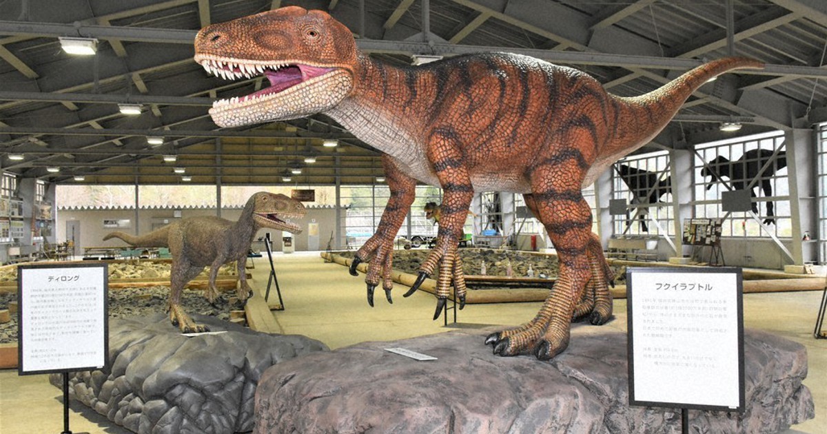 新入り恐竜お目見え 化石発掘体験センターHOROSSA! 福井 | 毎日新聞