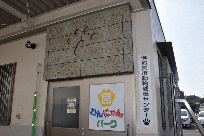 犬猫保護 快適な場に 宇都宮市動物愛護 施設を改修 飼育希望者 触れ合い空間も 栃木 毎日新聞