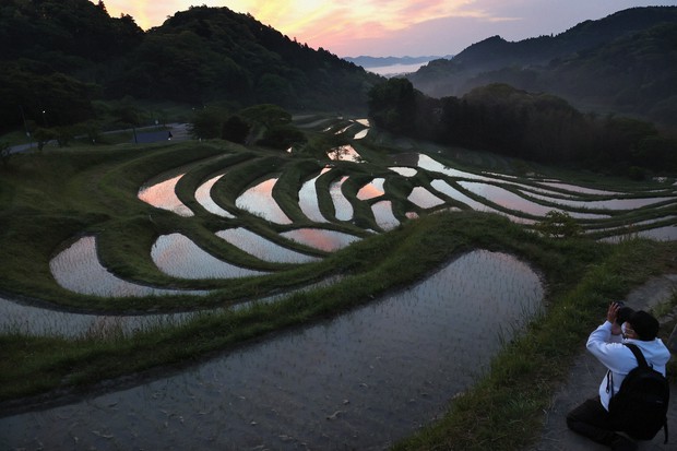 Japan Photo Journal Water Filled Rice Terraces In Chiba Pref Reflect Changing Sky The Mainichi