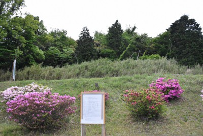 大分県日出町の山中にある土葬墓地の建設予定地＝同町で2022年5月10日午後6時32分、井土映美撮影
