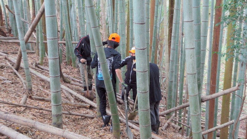 タケノコを掘る学生たち=宇陀松山春日神社協力会提供