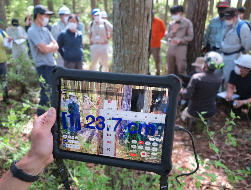 タブレットを手前の木にかざすだけで、木の直径などのデータが瞬時に表示される=山梨県小菅村で2022年4月25日、山本悟撮影