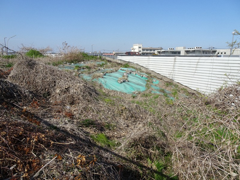 発見から18年間、土のうとブルーシートで覆われたままの状態で放置されている北下瓦窯跡=千葉県市川市で2022年4月6日午後3時1分、小林多美子撮影