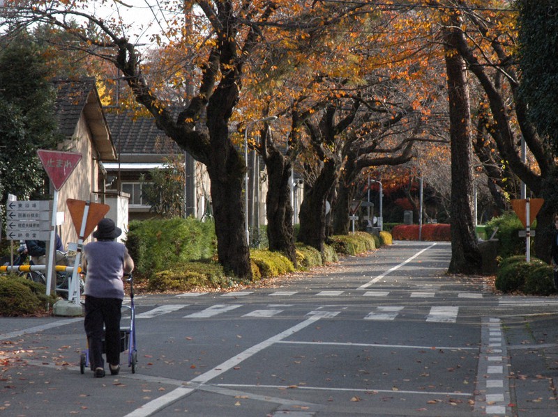ハンセン病療養所から50年目の社会へ ハンセン病療養所を後世へ 進む老朽化に入所者ら訴え - 日本経済新聞