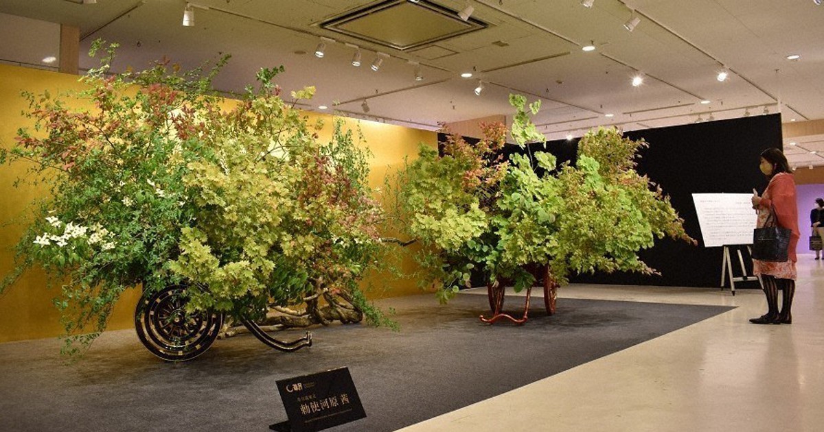 草月いけばな展」開幕 勅使河原茜さん、家元継承20周年 ／福岡 | 毎日新聞