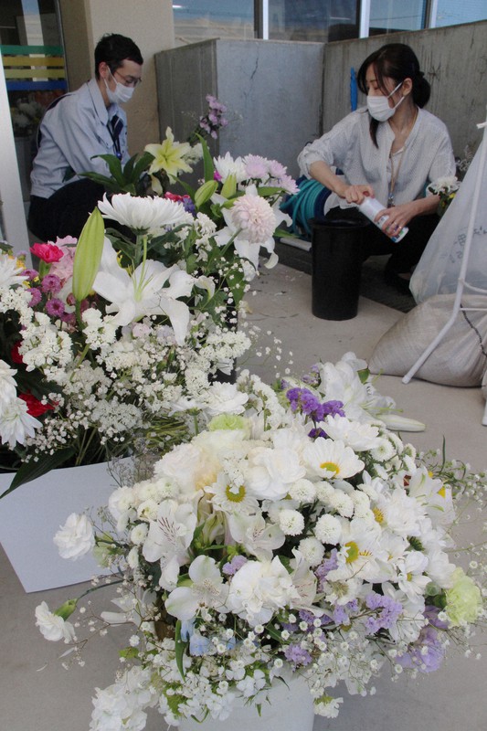 献花の手入れをする斜里町職員=北海道斜里町で2022年5月18日午後4時2分、飯田憲撮影