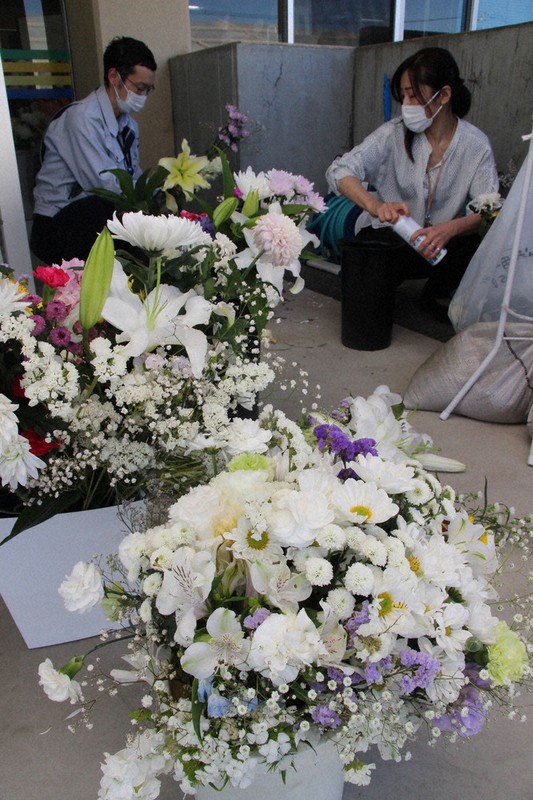 献花の手入れをする斜里町職員=北海道斜里町で2022年5月18日、飯田憲撮影