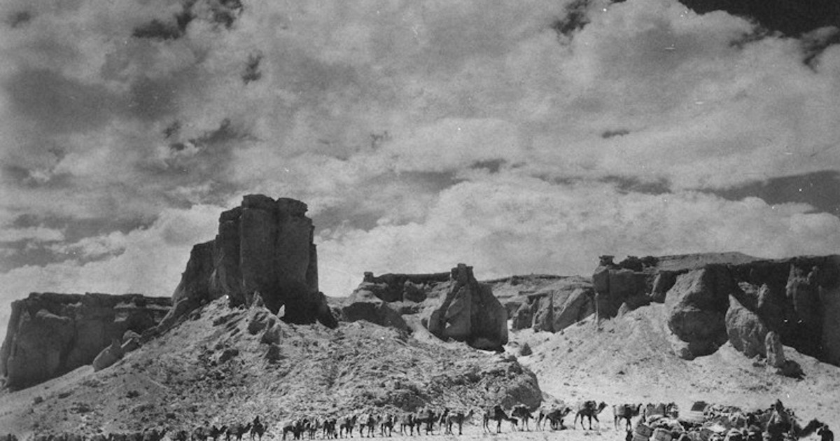 ゆり先生の化石研究室 6 化石ハンター アンドリュース 4 運も味方 炎の崖 で大発見 毎日新聞