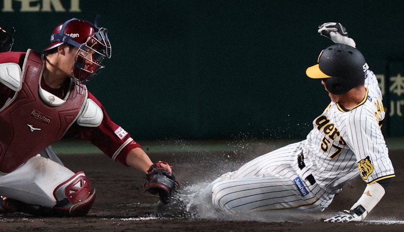 阪神野球阪神VS 6月5日チケット2枚セット