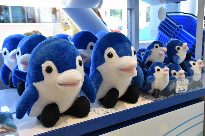 カープヘッド イルカ ぬいぐるみ A SHOW 社員旅行 in 鴨川シーワールド