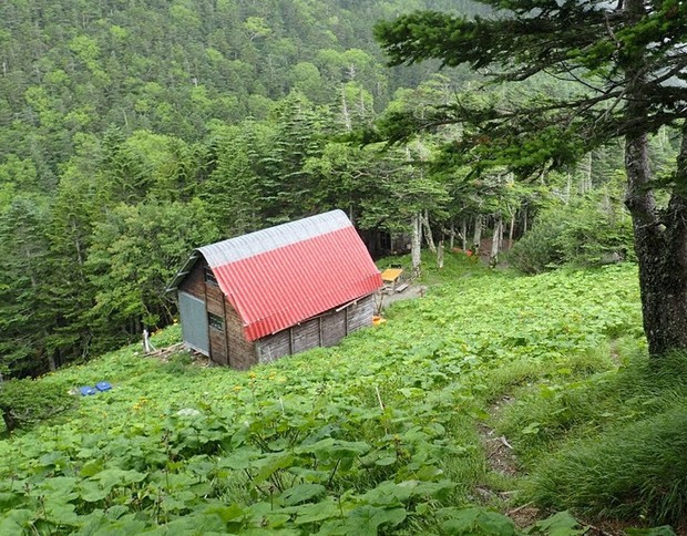 緑のなかに静かにたたずむ高山裏避難小屋