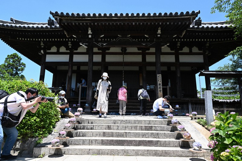 見た目も涼しげ 剪定アジサイで花手水 奈良 般若寺 写真特集1 10 毎日新聞