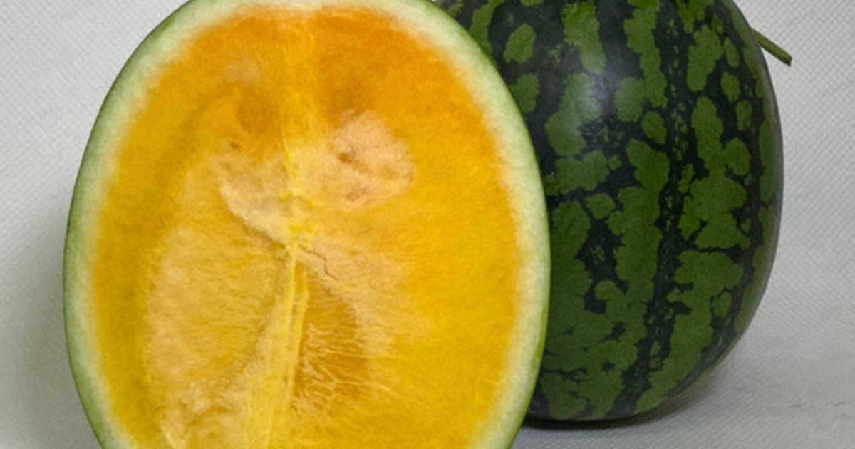 種の分まで甘くなった?! 特殊な「種なしスイカ」販売が本格化 | 毎日新聞