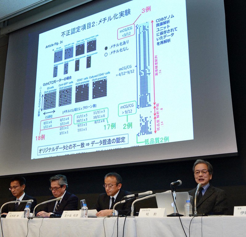 「STAP細胞」論文について報告書の内容を発表する理化学研究所の調査委員会=東京都千代田区で2014年12月26日、竹内紀臣撮影