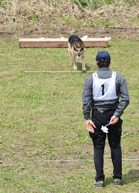 臭いたどって犯人追跡 警察犬の能力向上 茨城で研修会 毎日新聞 臭いたどって犯人追跡 警察犬の能力向上 茨城で研修会 毎日新聞