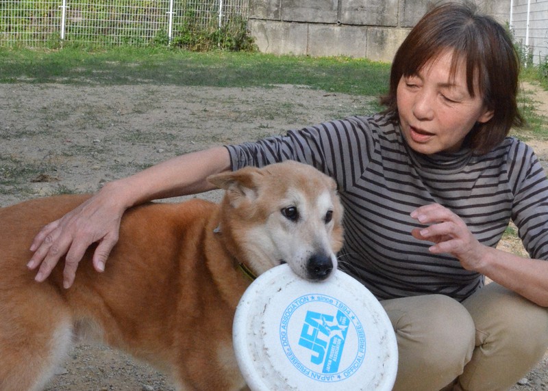 殺処分の危機から 希望の星 に 保護犬 ハカセ 競技で活躍 毎日新聞