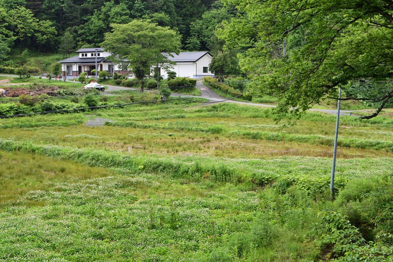 (未使用･未開封品)証言記録 東日本大震災 第15回 福島県葛尾村 ~全村避難を決断した村~ [DVD] 証言記録 東日本大震災 第15回 福島県葛尾村 ～全村避難を決断