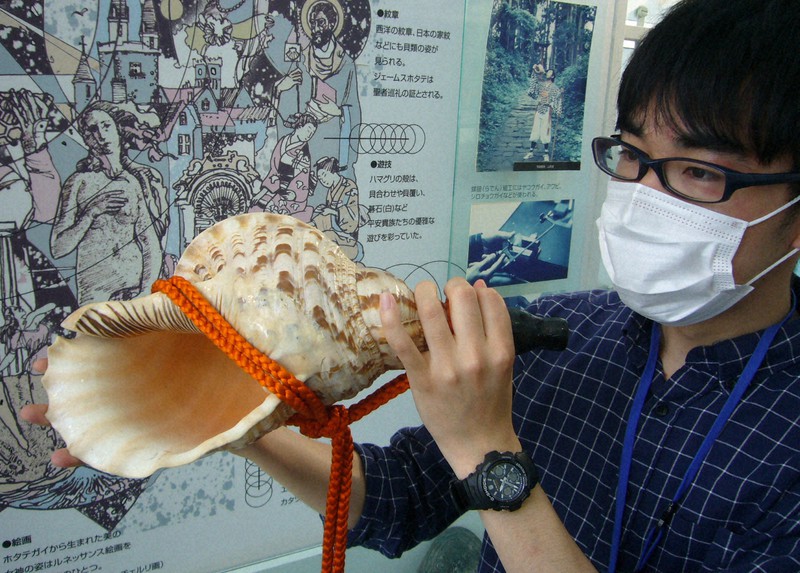 世界の貝と人々の暮らしを紹介 兵庫の「西宮市貝類館」 [写真特集1/7