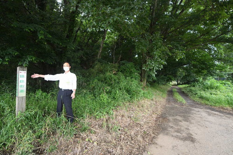 国の史跡に指定するよう答申された鎌倉街道上道=埼玉県毛呂山町大類で2022年6月16日、仲村隆撮影