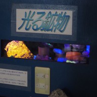 大地の恵みに触れて 鉱物収集60年、魅力伝える「石の博物館」 [写真