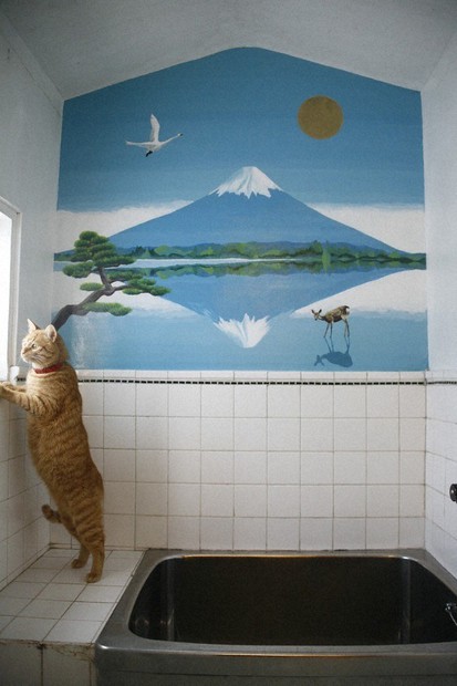 うちだけ絶景、銭湯気分 富士山ペンキ絵 ひらく「風呂」ンティア