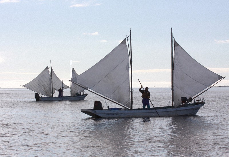 打瀬舟たゆたう初夏 ホッカイシマエビ漁 野付湾 ／北海道 | 毎日新聞