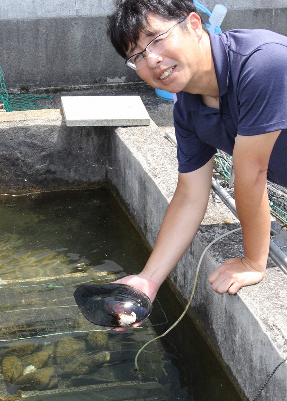 琵琶湖で絶滅危惧の真珠貝 復活計画 東日本に移した固有種戻す 毎日新聞 琵琶湖で絶滅危惧の真珠貝 復活計画 東日本に移した固有種戻す 毎日新聞