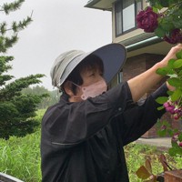 雑草が茂る自宅の庭で、わずかに残ったバラを支柱に結わえる山本三起子さん＝福島県大熊町で2022年5月31日午後1時31分、尾崎修二撮影