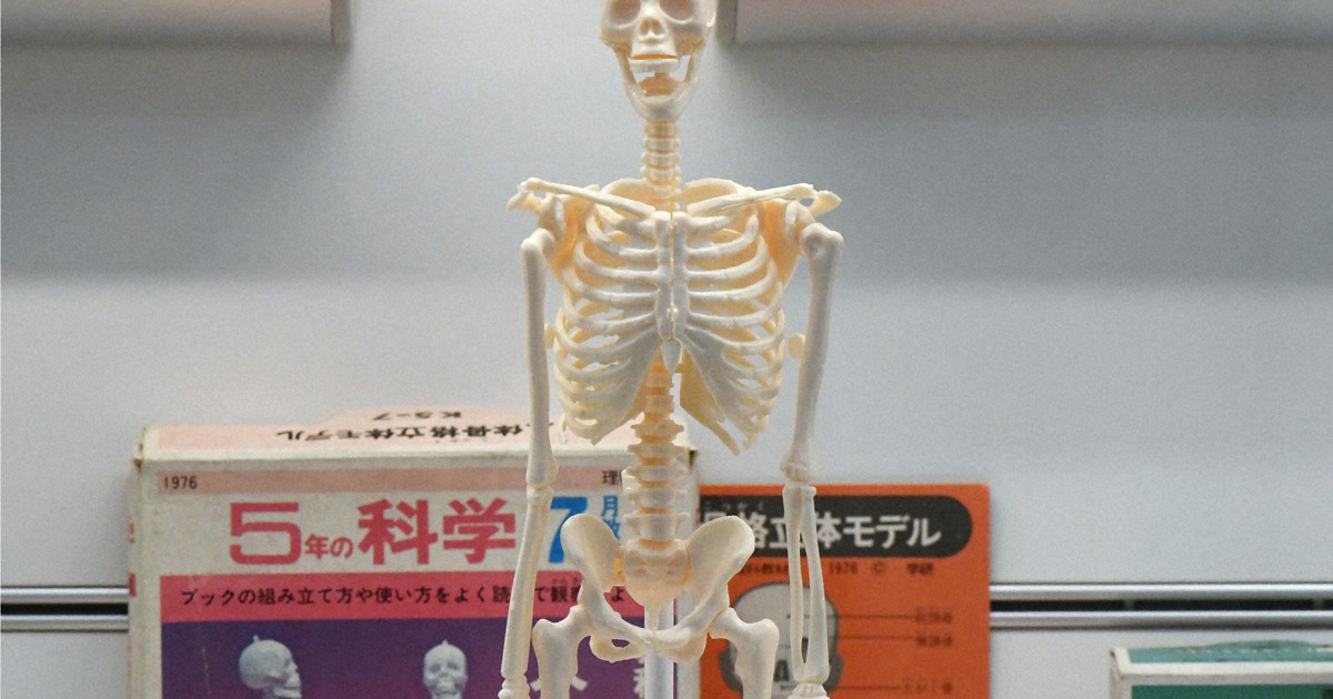 人体骨格モデル、水素ロケット、飼育セット…「学研の科学」の付録