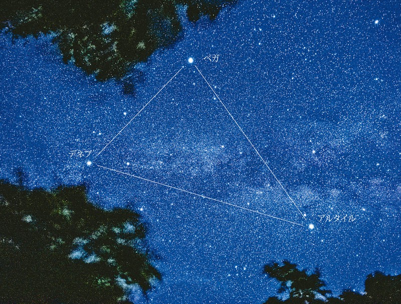 ガリレオ博士の天体観測図鑑：ガリレオ博士の天体観測図鑑／104 夏休み
