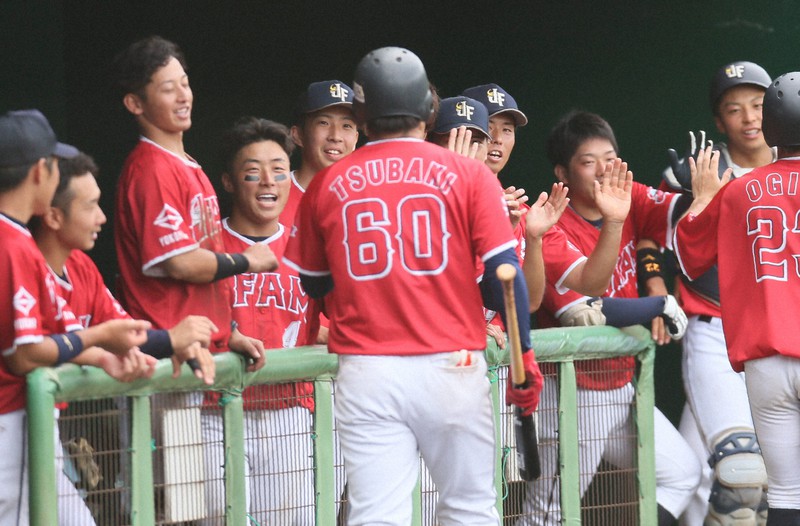 台湾野球　嘉義市和信チーム実物ユニホーム　優勝おめでとう Amazon.co.jp: 台湾プロ野球統一ライオンズ 2024年ガールズデー