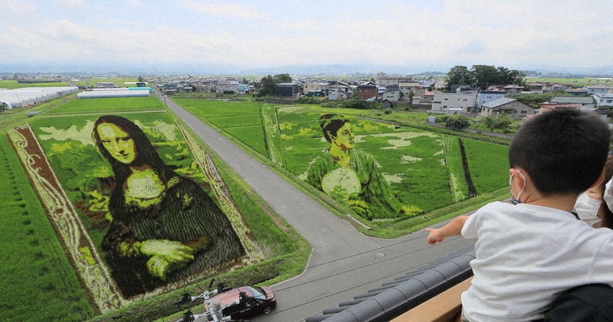 油絵 絵画 【田舎の田んぼ】 油絵 絵画 【田舎の田んぼ】 油絵 絵画 【田舎の田んぼ】 【公式通販】