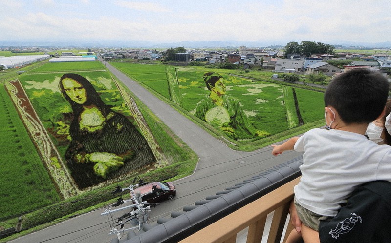 19年ぶり雪辱 「脱下ぶくれ」モナリザ登場 青森の田んぼアート | 毎日新聞