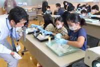 浦田慎主幹研究員が見守る中、DNAを取り出す実験をする子供たち＝金沢市寺中町の金沢海みらい図書館で2020年10月25日、阿部弘賢撮影