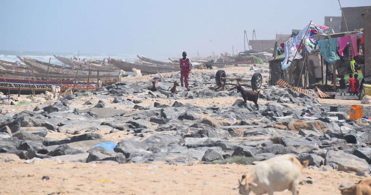 灼熱のアフリカ 0c10.jpg?1