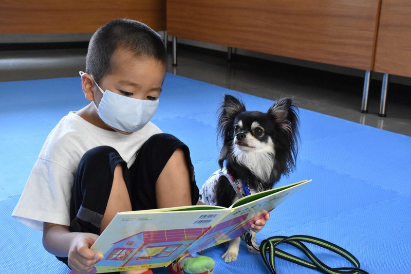 読んで 触れて 癒やされて 子どもたちがセラピー犬に読み聞かせ 毎日新聞
