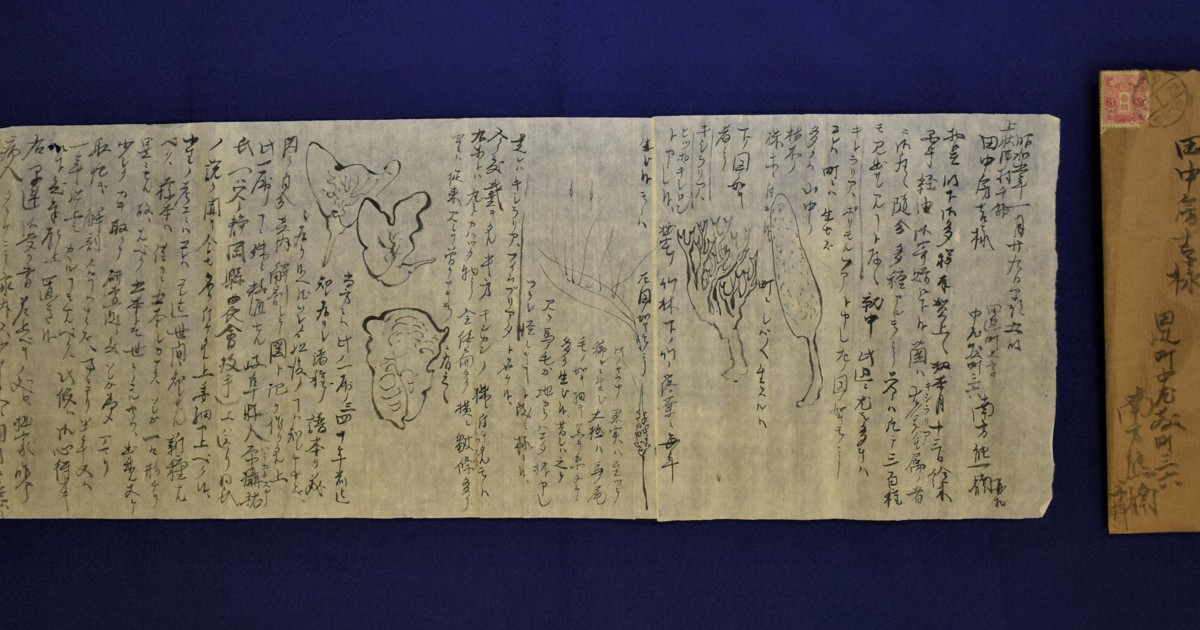 南方熊楠の直筆書簡、新たに見つかる 新種キノコの可能性を指摘 | 毎日新聞