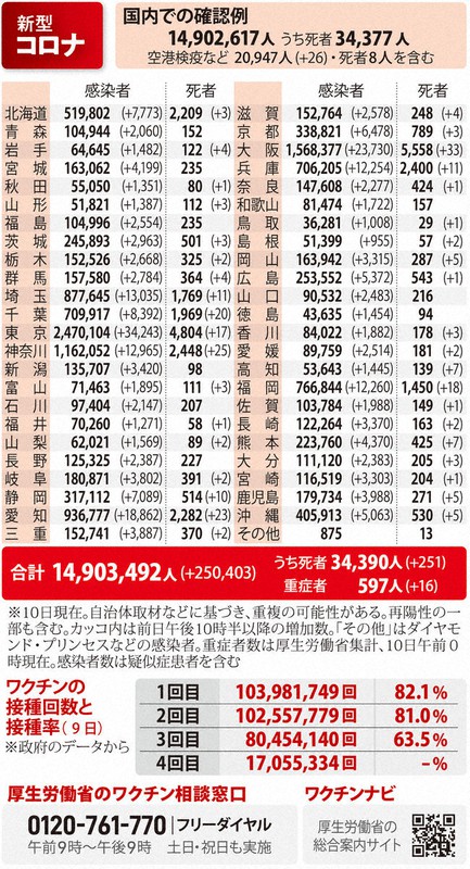 新型コロナ 国内での確認例