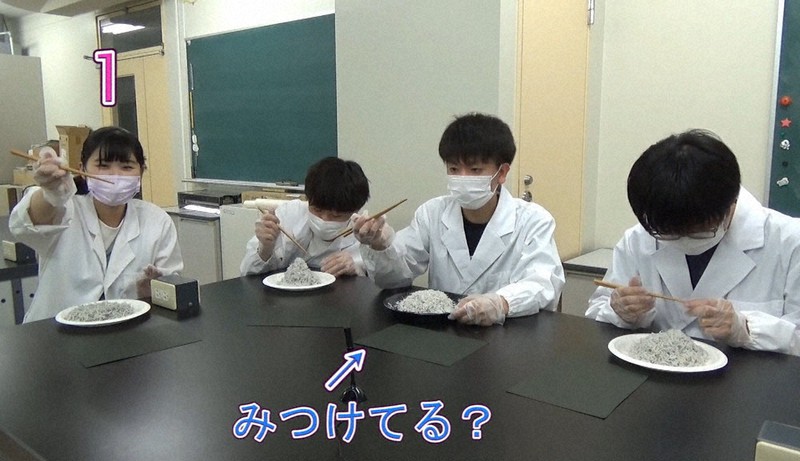 「ギョッ!しらすぼしからレアぎょをさがせ!」の動画=ユーチューブの群馬大学公式チャンネルから