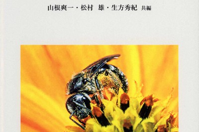 今週の本棚：村上陽一郎・評 『縄文人と弥生人 「日本人の起源」論争