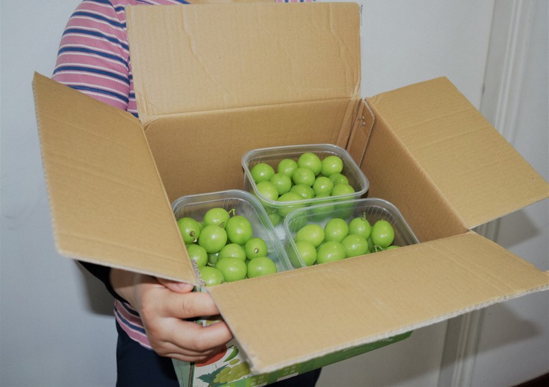 14色のペン：中国に奪われた日本の「宝石」 陽光バラの正体を追う