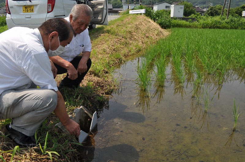 筑後川4年連続「内水氾濫」 農家「下流の被害減らせれば」と協力 大雨対策、広が …
