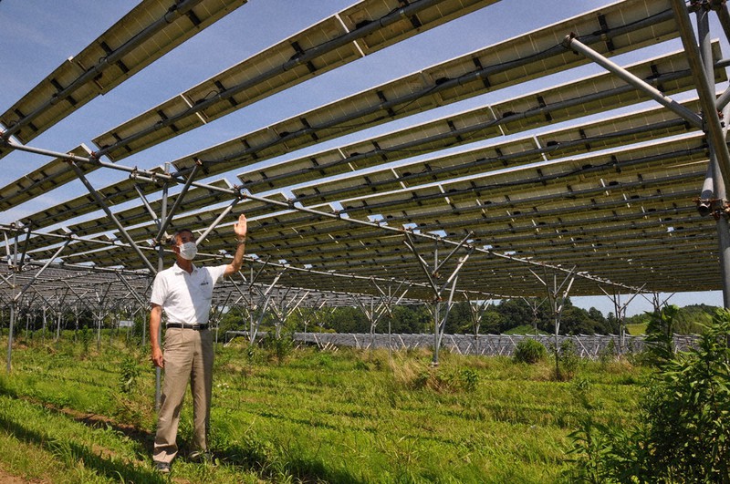 畑に設置されたソーラーシェアリング用の太陽光発電のパネル=千葉県匝瑳市で6月