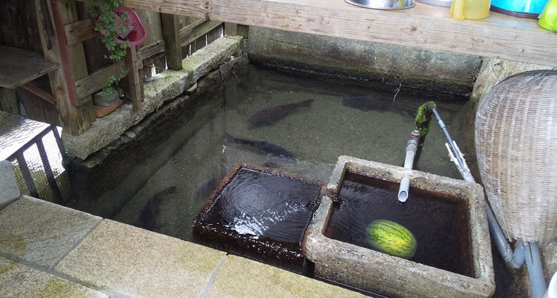 各家庭の台所や洗い場として機能するカバタ(川端)=滋賀県高島市の針江地区で、中川博史撮影