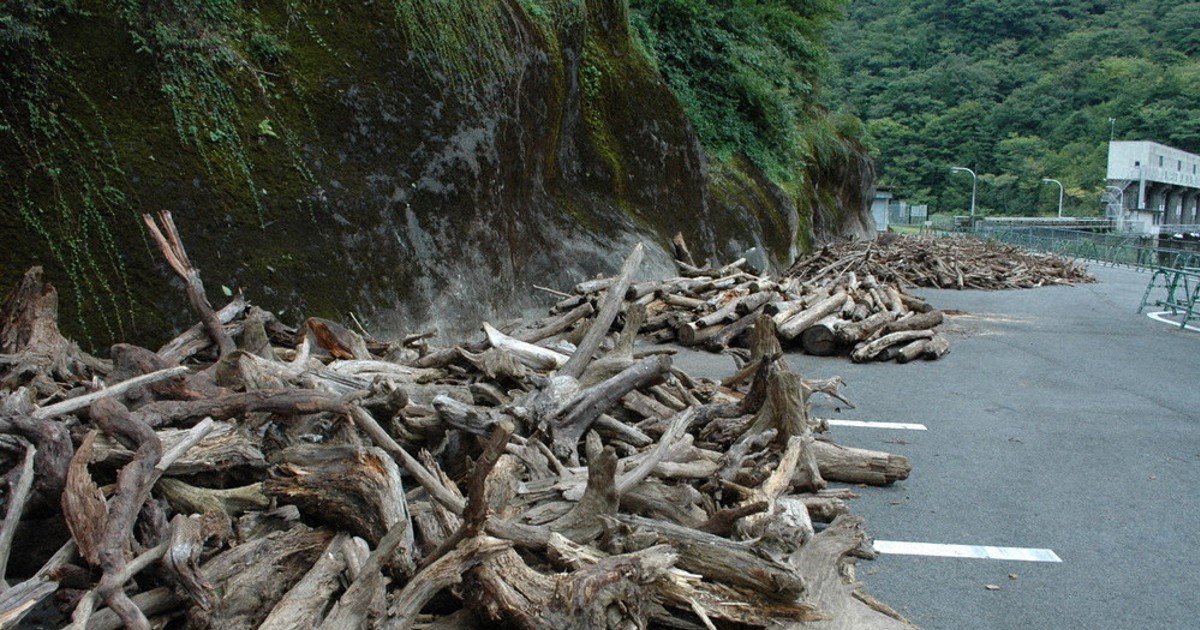 ただならぬ流木 ただならぬ流木 【公式通販】