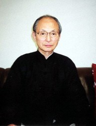 中国書道文化辞典 西林昭一 中国書道文化辞典：柳原出版